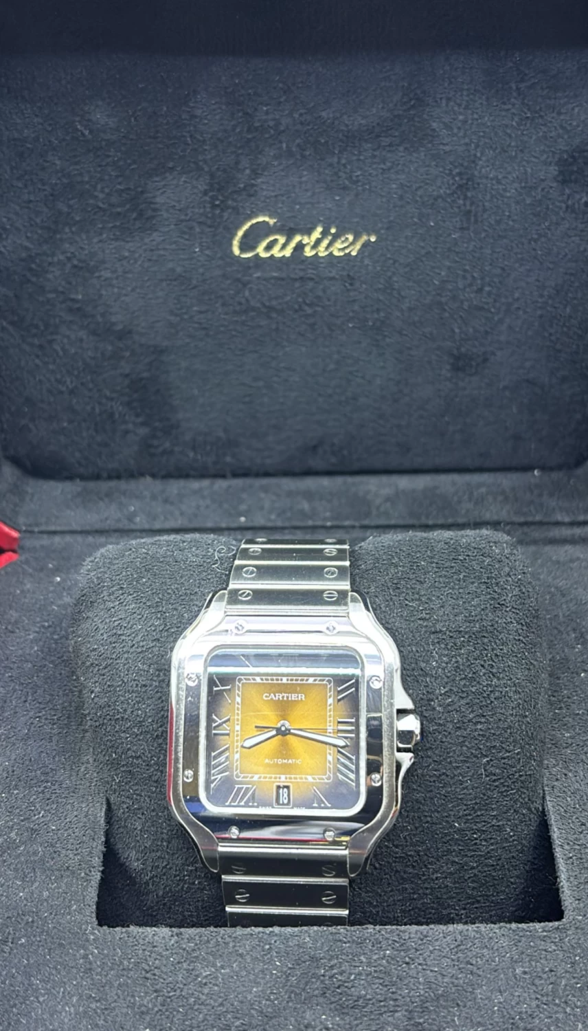     Cartier Santos 
