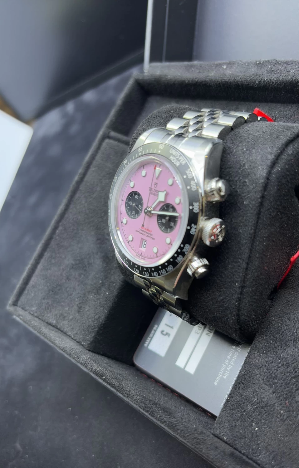     تيدور بلاك باي 