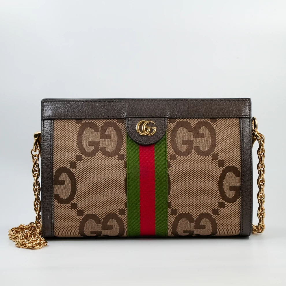 Gucci Ophidia bag