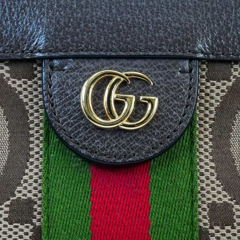 Gucci Ophidia bag