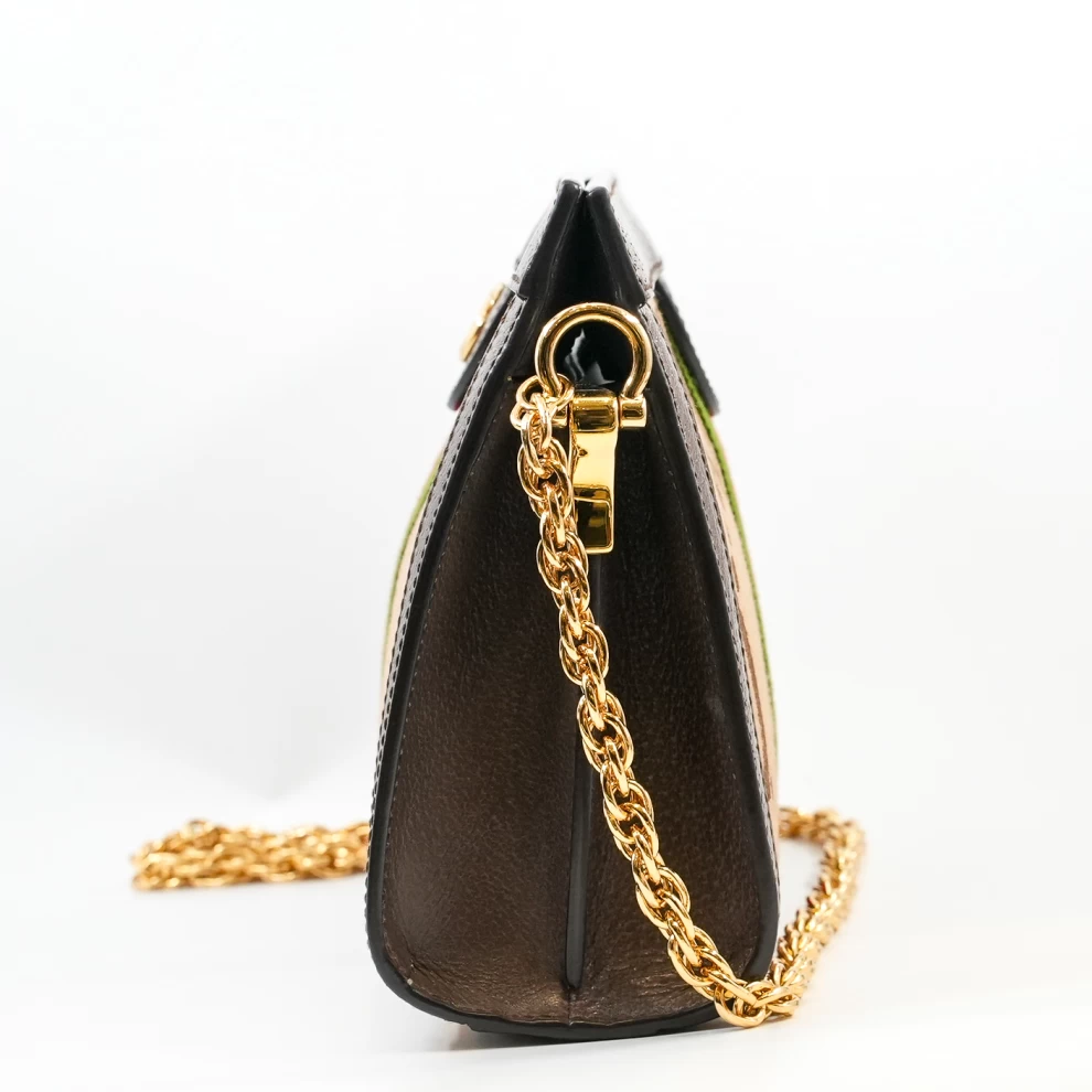 Gucci Ophidia bag