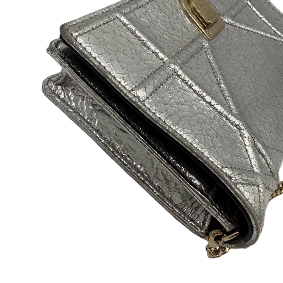     Dior Diorama Metallic Brushed Wallet on Chain Crossbody Bags 