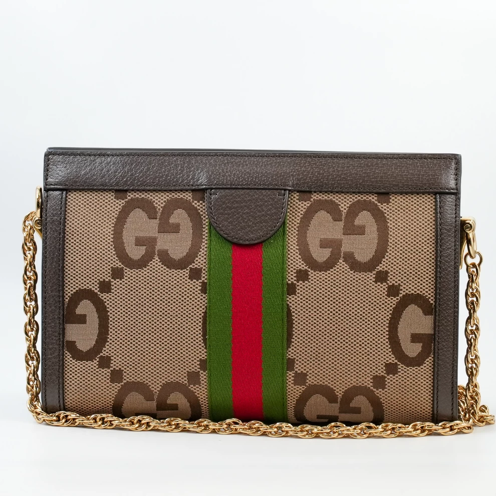 Gucci Ophidia bag