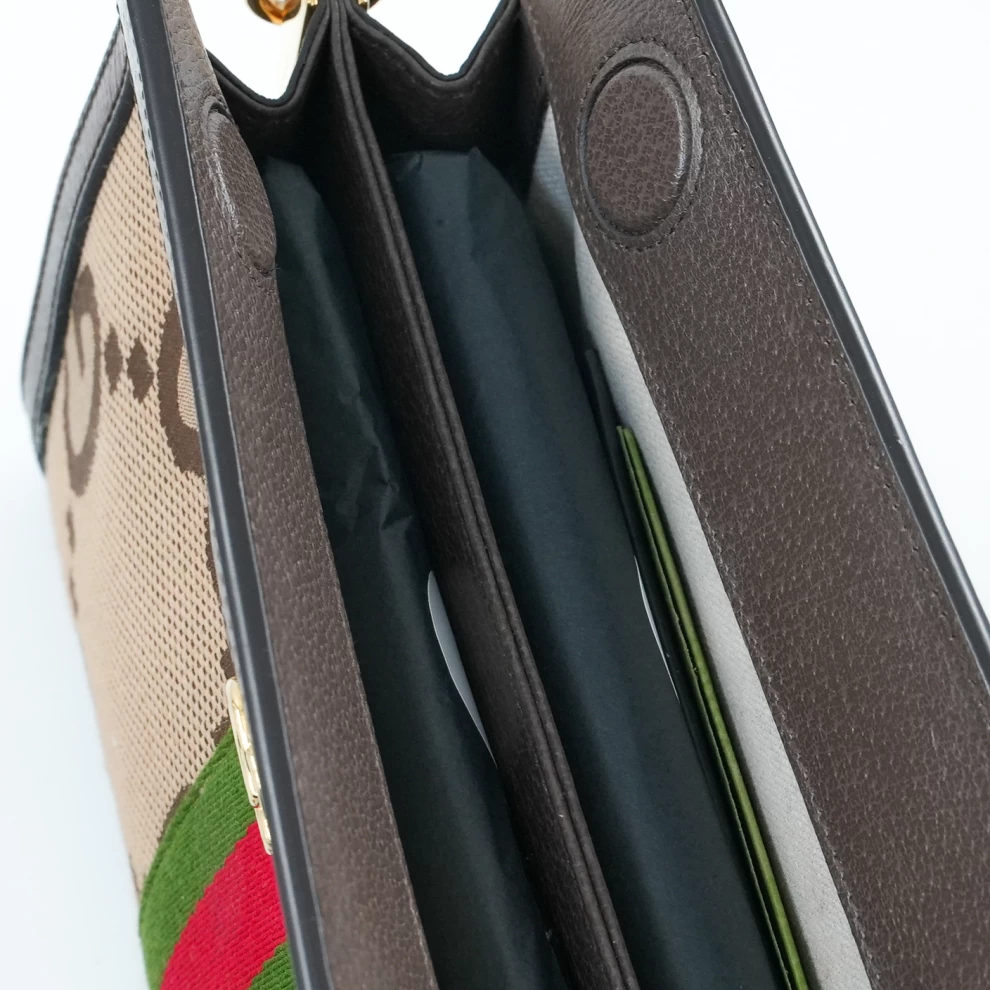 Gucci Ophidia bag