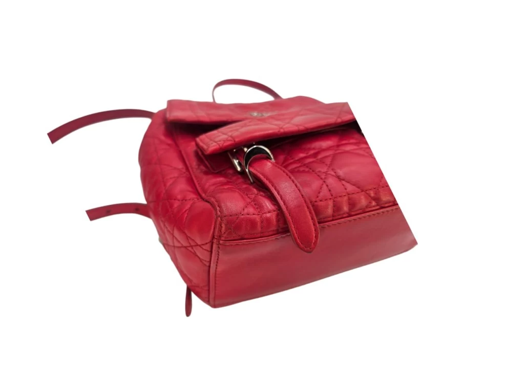 Christian Dior Small Quilted Cannage Stardust Backpack