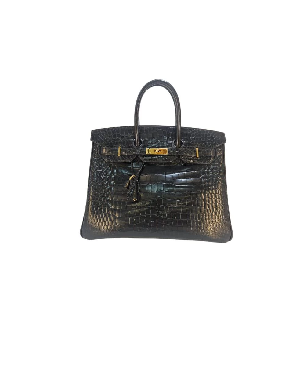     HERMÃˆS Birkin 35 Shiny Black Exotic Leather Handbag Bag 