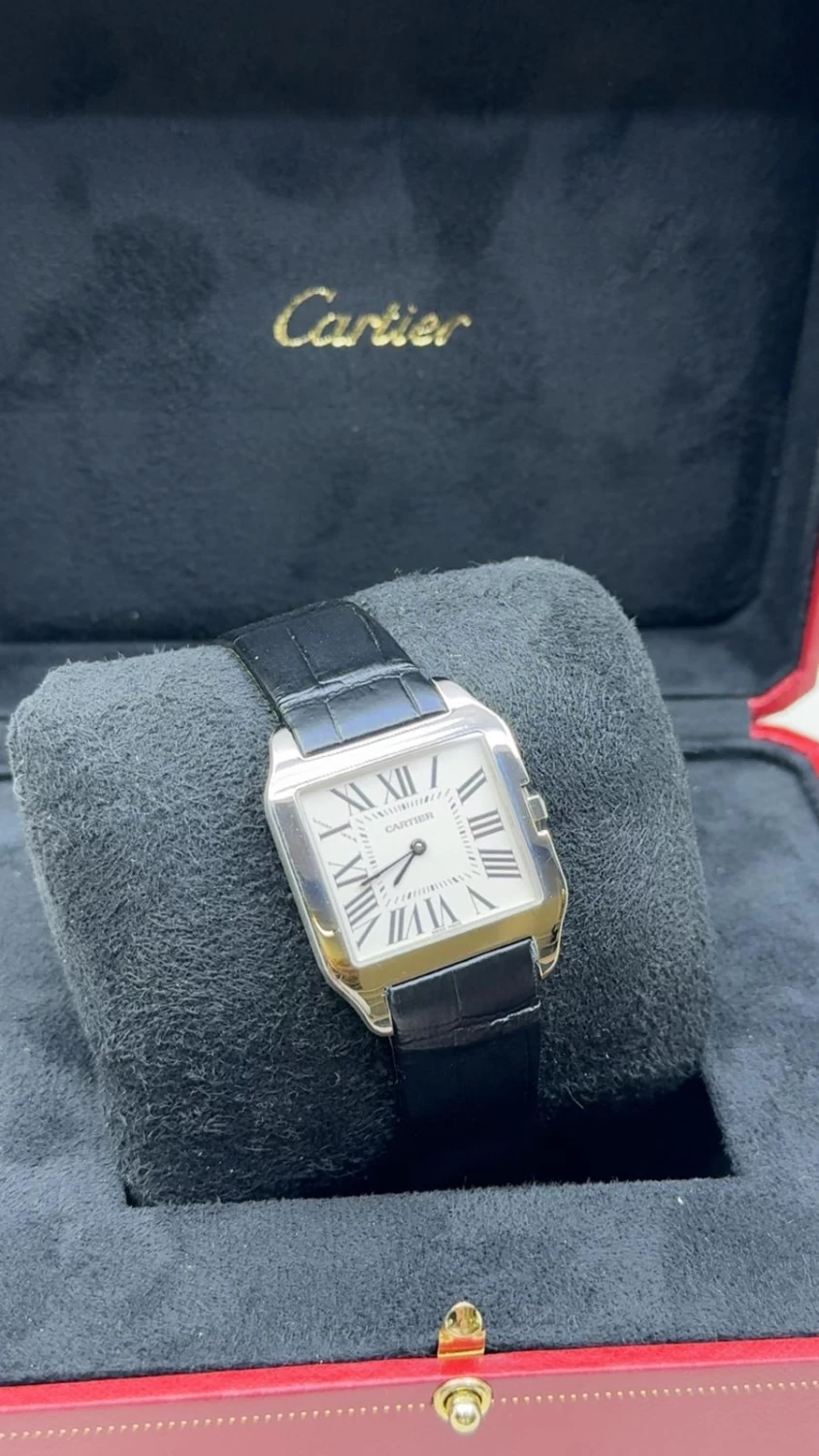     Cartier Santos Demont - Men's Watch 