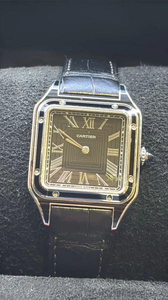Cartier Santos Diamond