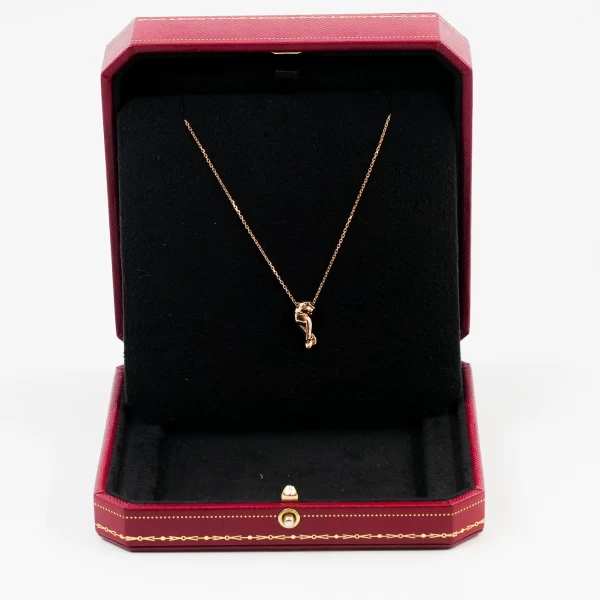 Cartier Panthère de Cartier necklace