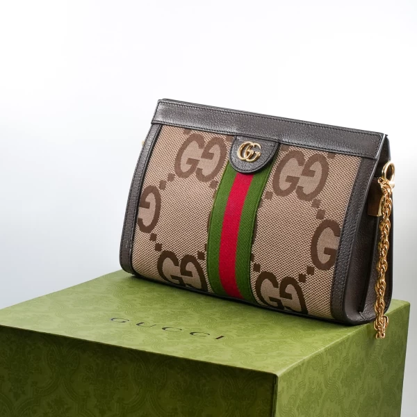 Gucci Ophidia bag