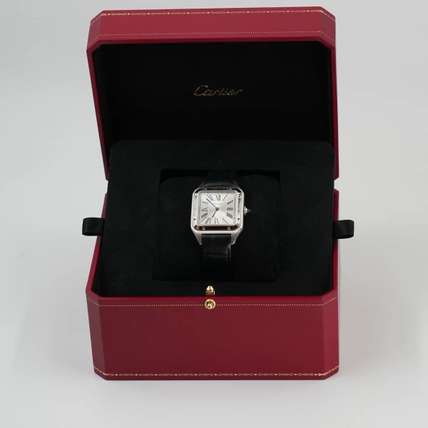 Cartier Watch